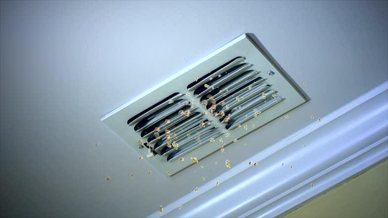 Best Emergency Air Duct Cleaning  in Hinckley, MN