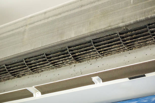 Best HVAC System Cleaning  in Hinckley, MN